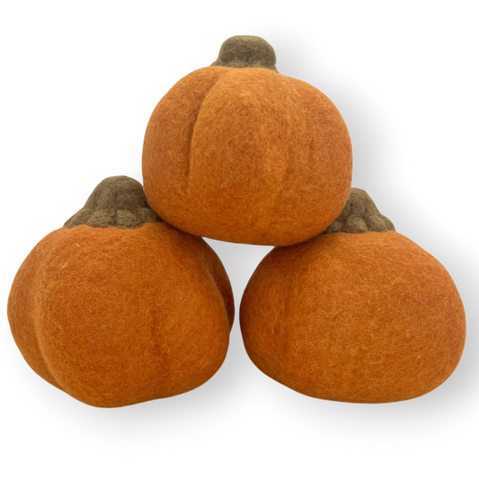 Felt Field Pumpkin