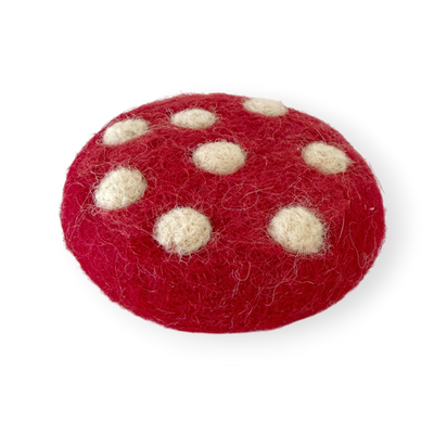 Felt Cookies